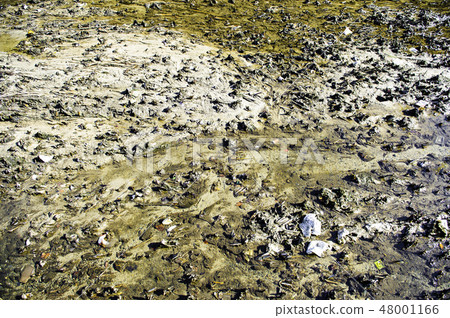 Dirty river bottom Dirty river bottom 48001166