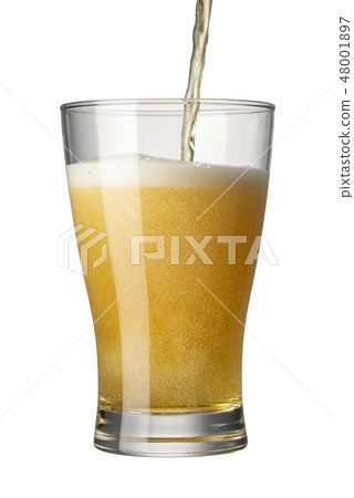 啤酒白背 啤酒白背 48001897