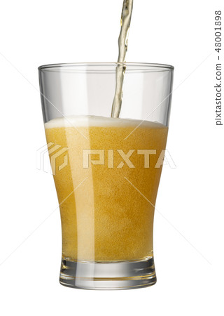 啤酒白背 啤酒白背 48001898