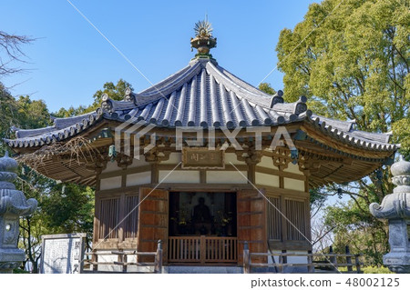 Rengakuin Budoji temple open mouth 48002125