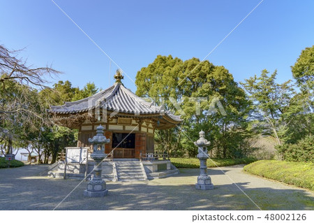 Rengakuin Budoji temple open mouth 48002126