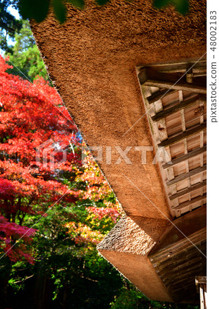 Autumn leaves of Yoshimizuen in Akiota Hiroshima prefecture Autumn leaves of Yoshimizuen in Akiota Hiroshima prefecture 48002183