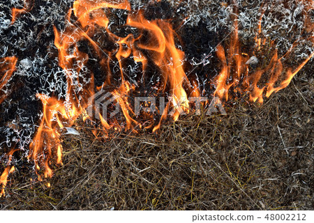 air pollution from burning grass fields 48002212