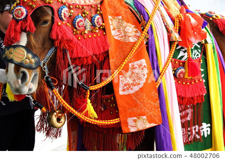 Snow festival Winter interaction Chagachag horse 48002706