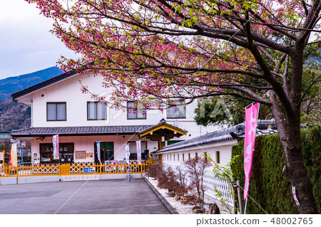 (Shizuoka Prefecture) Dohi Kanayama 48002765