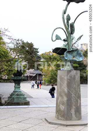 Kamakura Great Buddha Kamakura Great Buddha 48003204