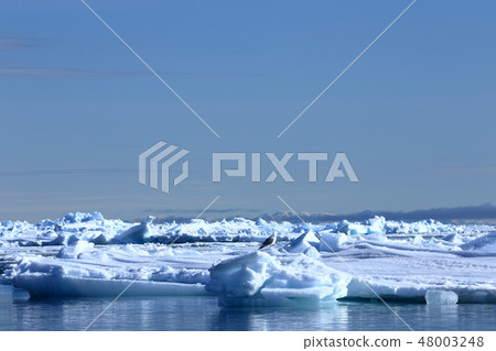 冰世界 48003248