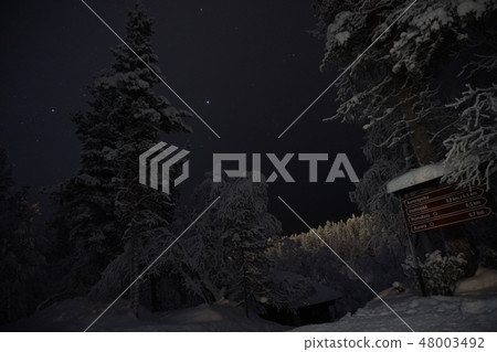 在芬蘭Saariselka的森林裡 48003492