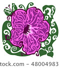 Flower Ipomoea vjrning glory 48004983
