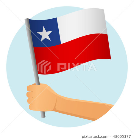 Chile flag in hand Chile flag in hand 48005377