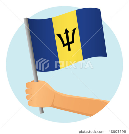 Barbados flag in hand 48005396