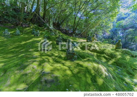 Lingwam Dong五百漢 48005702