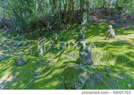 Lingwam Dong五百漢 Lingwam Dong五百漢 48005703