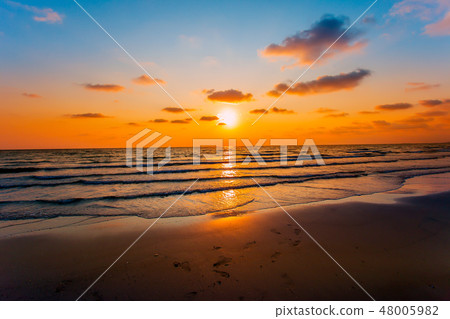 Sea, Sky, Sun, Beach, Gold 48005982