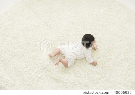 小雞 小雞 48006923