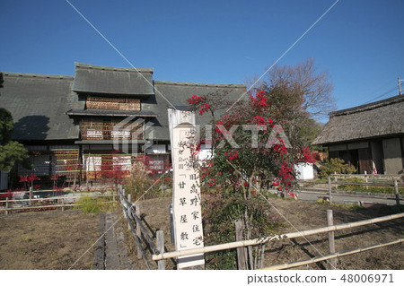 Late autumn licorice house Late autumn licorice house 48006971