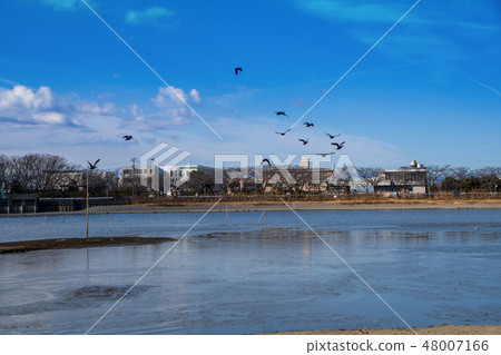 Isauma Winter Scene Saitama Kawagoe-shi 48007166