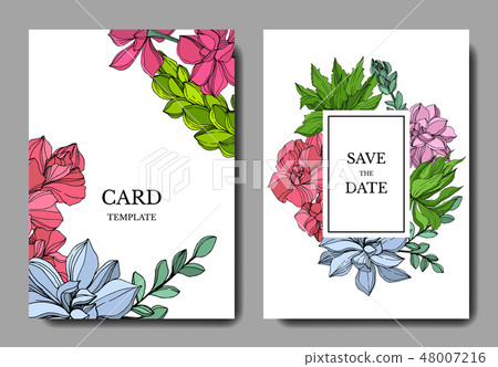 Vector Jungle botanical succulent flower. Engraved ink art illustration. Wedding background card 48007216