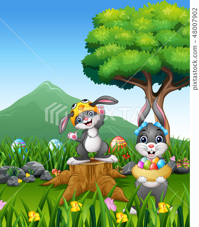 Happy rabbit holding easter egg on the field Happy rabbit holding easter egg on the field 48007902