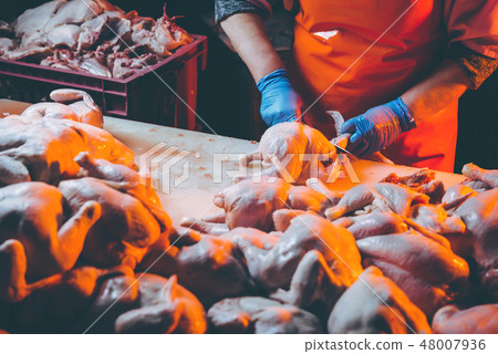 chicken meat production chicken meat production 48007936