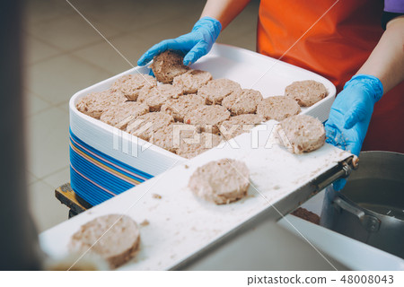 cutlet making factory 48008043