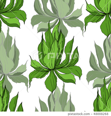 Vector Jungle botanical succulent flower. Engraved ink art illustration. Seamless background pattern Vector Jungle botanical succulent flower. Engraved ink art illustration. Seamless background pattern 48008268