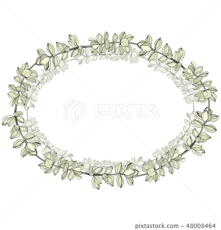 Vector Jungle botanical succulent flower. Engraved ink art illustration. Frame border ornament 48008464