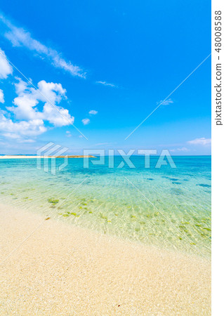 [沖繩縣]熱帶形象 48008588