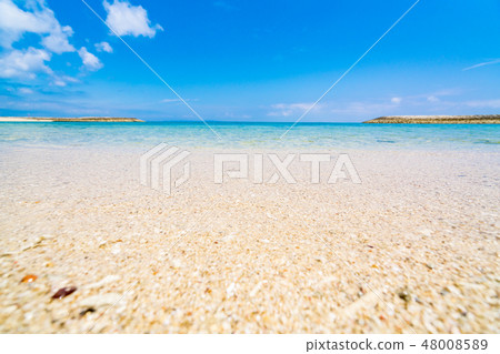 [沖繩縣]熱帶形象 48008589