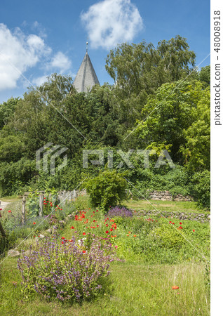 Herb and flower garden in Altenkrempe Herb and flower garden in Altenkrempe 48008918