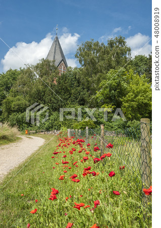 Landscape in Altenkrempe 48008919