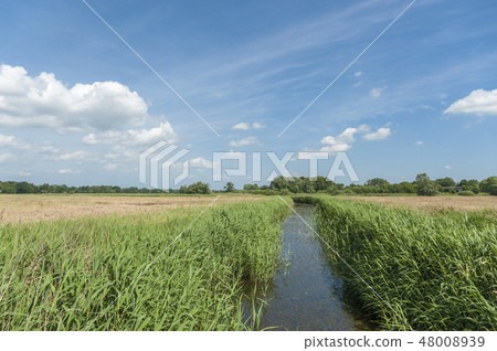 Landscape in Altenkrempe 48008939