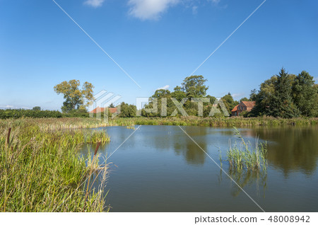 Landscape near Gut Gueldenstein in Harmsdorf 48008942