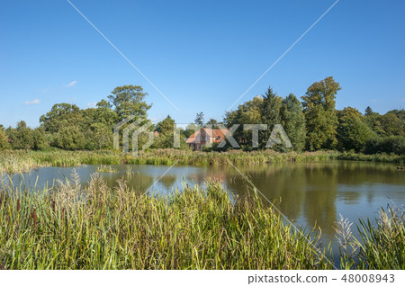 Landscape near Gut Gueldenstein in Harmsdorf Landscape near Gut Gueldenstein in Harmsdorf 48008943