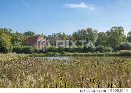 Landscape near Gut Gueldenstein in Harmsdorf Landscape near Gut Gueldenstein in Harmsdorf 48008944