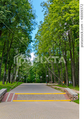 A beautiful view of the calm. The alley in the par A beautiful view of the calm. The alley in the par 48009372