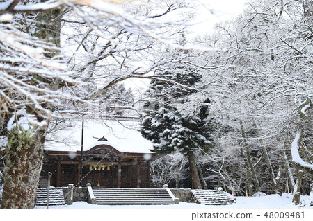 Snow and Shrine 48009481