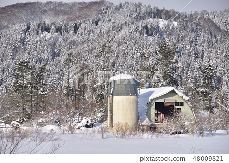 在冬天,當大雪在北海道的Yukumo町落下時,拍攝與筒倉的風景 在冬天,當大雪在北海道的Yukumo町落下時,拍攝與筒倉的風景 48009821