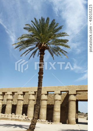 Ancient ruins in Karnak Temple, Luxor, Egypt Ancient ruins in Karnak Temple, Luxor, Egypt 48010225