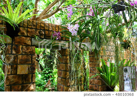 Ruins Object Ruins Object 48010368