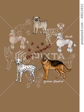 Poster Dogs sketches Background. Dogs breeds Poster Dogs sketches Background. Dogs breeds 48011631