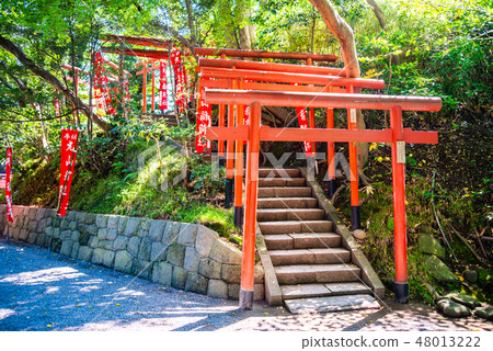 鶴岡八幡宮(掛錘)·丸山稻荷神社 鶴岡八幡宮(掛錘)·丸山稻荷神社 48013222