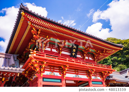 鶴岡八幡宮(懸掛) 鶴岡八幡宮(懸掛) 48013339