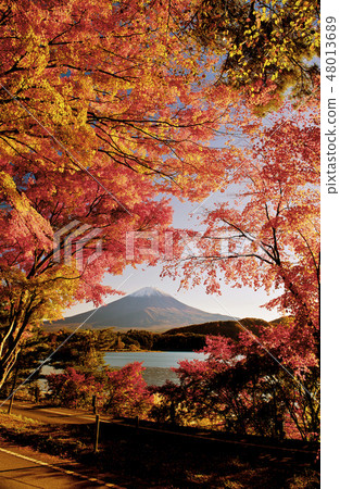 Mt.Fuji in autumn Mt.Fuji in autumn 48013689