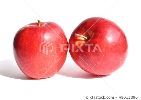 Apple（約拿金） 48013890