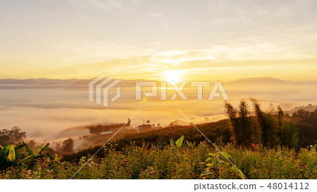 Morning sunrise clouds and fog over mountain Morning sunrise clouds and fog over mountain 48014112