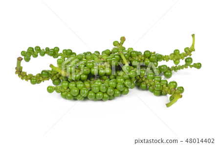Green pepper isolated on white background. Green pepper isolated on white background. 48014402