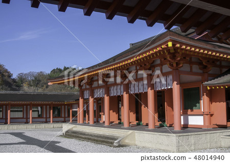 和平政府 和平政府 48014940