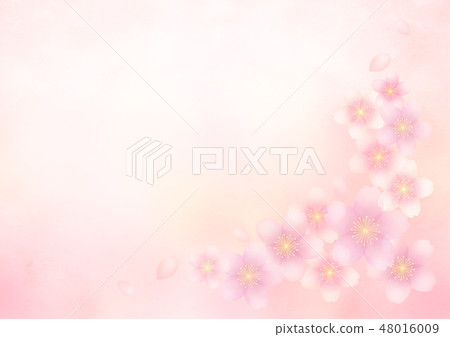 櫻花背景 櫻花背景 48016009