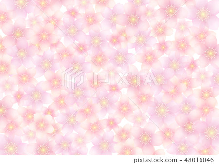 櫻花背景 櫻花背景 48016046